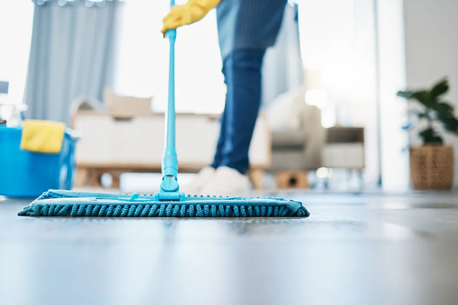Professional House Cleaning Company in Albany, OR Professional House Cleaning Company in Albany, OR